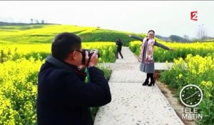 Chine : des champs de colza qui rendent heureux