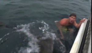 Le moment terrifiant où un nageur se fait attaquer par un requin