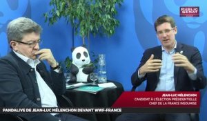 Le programme écolo de Jean-Luc Mélenchon - Les matins de la présidentielle (28/03/2017)