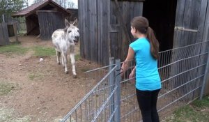 Incroyable : découvrez la manière dont cette jeune fille communique avec son âne :