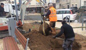 Plantation sur la place de la mairie