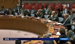 Syrie : la Russie oppose son veto à la résolution de l'ONU