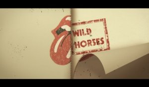 The Rolling Stones - Wild Horses