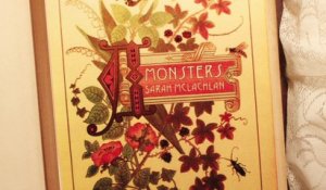 Sarah McLachlan - Monsters