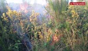 Brasparts (29). Monts d'Arrée : l'incendie a brûlé 5 hectares de landes et bois