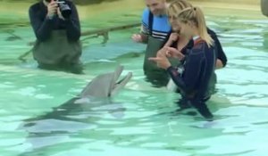 En toute Intimité : Loana : "Les animaux de Marineland sont heureux !"