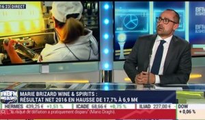 Entreprise du jour: Marie Brizard Wine and Spirits annonce un résultat net 2016 en hausse de 17,7% à 6,9 millions d'euros - 27/04