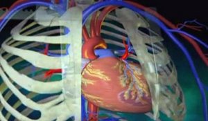 Le pontage coronarien OPCAB expliqué en vidéo