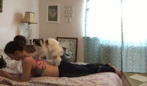 Quand ton chat est aussi un très bon masseur... Pratique