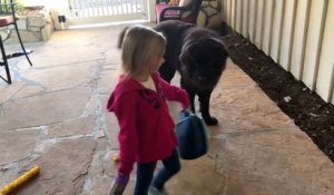 Une petite fille dit au revoir à son chien avant d'aller à l'école !