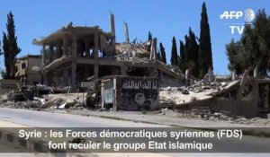 Syrie: l'assaut final contre Raqa lancé "en début d'été"