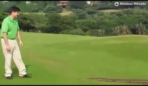 Afrique de Sud : Des golfeurs arrêtent leur jeu à cause d'un énorme python