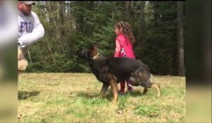 Ce chien est dressé pour protéger les enfants... Incroyable