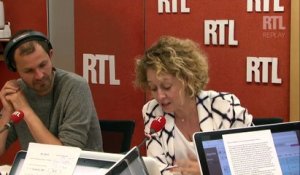 Législatives 2017 : "Le PS, c'est cinquante nuances de rose", pour Alba Ventura