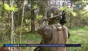 OTAN : la mission française en Estonie