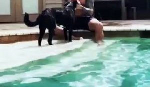 Le catcheur Randy Orton met un RKO à son beau-fils dans la piscine