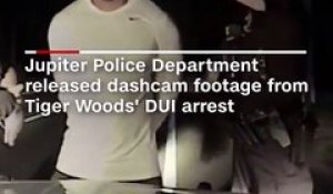USA : la police rend publique la vidéo de l'arrestation de Tiger Woods