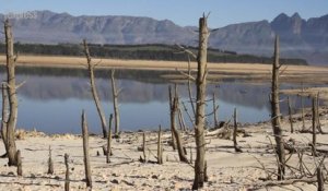 Afrique du Sud: la région du Cap vit sa pire sécheresse depuis 1 siècle