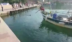 Un pêcheur harponne illégalement un marlin
