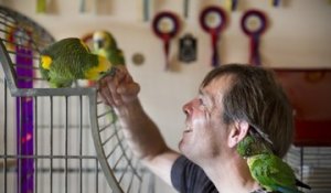 Philippe Labiouse partage sa vie avec une vingtaine de perroquets