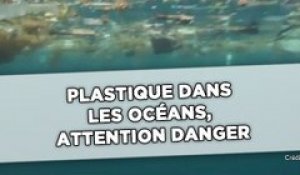 Plastique dans l'océan, attention danger