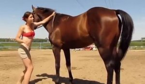 Un cheval aide une fille à monter