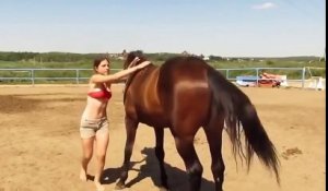 Un cheval vient en aide à sa cavalière qui galère à monter