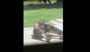 Ce livreur UPS fait un selfie avec les chiens d'une maison !
