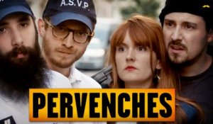 Pervenches ( Multiprise )