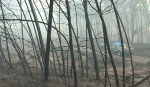 Portugal : un violent incendie fait plusieurs dizaines de morts