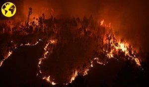 Incendie au Portugal : "Depuis cinquante ans, toutes les mises en garde tombent dans l’oreille d’un sourd"