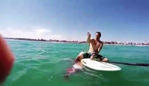 Ce poulpe géant piégé dans un filet vient demander de l'aide à un surfeur... Incroyable