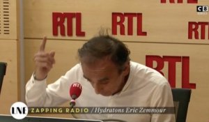 [Zap Actu] Eric Zemmour tacle la parité à l'Assemblée nationale (23/06/17)