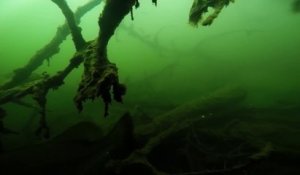 Fond d'un lac filmé par une GoPro : film d'horreur LOL