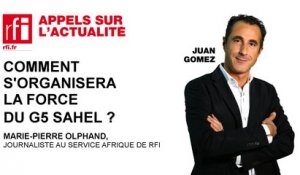 Comment s'organisera la force du G5 Sahel?