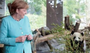 Diplomatie des pandas en Allemagne