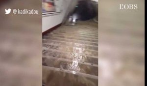 Pluies diluviennes et métros fermés à Paris