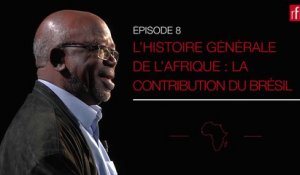 La contribution du Brésil à L'Histoire générale de l'Afrique #HGARFI ép. 8