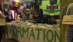 Cannabis: l’entrée de l’Australie dans le marché thérapeutique