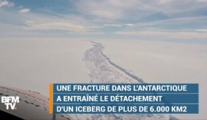 Un des plus gros icebergs jamais vus s'est détaché de l'Antarctique