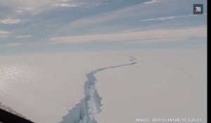 Un iceberg de la taille d'un département français vient de se détacher de l'Antarctique