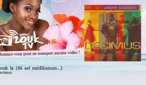 Decimus - Zouk la - Sé sel médikaman... - feat. Christine Obidol