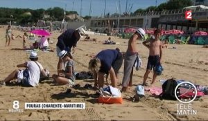 Vacances : le beau temps est au rendez-vous