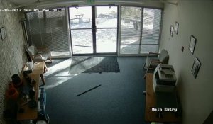 Un bouc défonce une vitrine (Colorado)