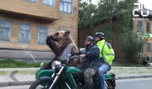 Pendant ce temps en Russie... - Le Rewind du mercredi 19 juillet 2017