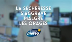 La sécheresse s'aggrave malgré les orages