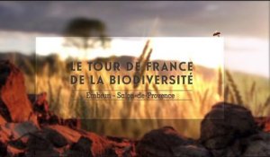 Le Tour de France de la Biodiversité sur le Massif des Ocres