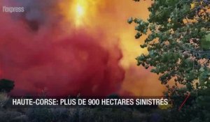 Incendie en Haute-Corse: 900 hectares sinistrés, des maisons menacées