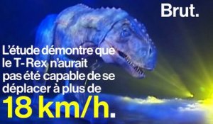Une nouvelle découverte sur le T-Rex