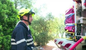 Incendies: les pompiers au travail près de Bormes-les-Mimosas